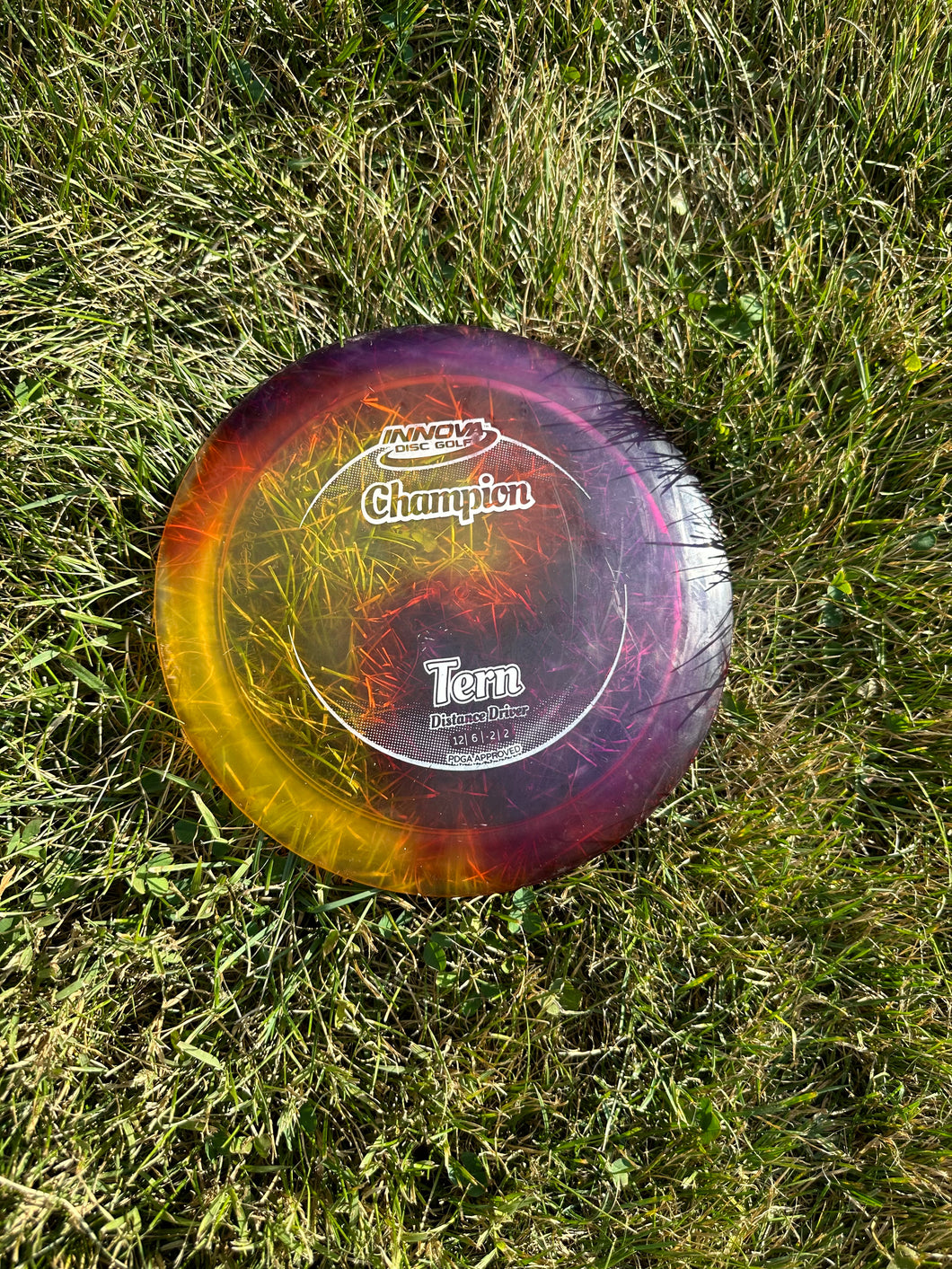 Innova Disc Golf Tern Distance Driver tie dye