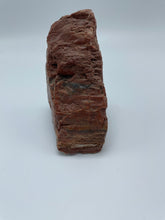 Load image into Gallery viewer, Petrified Wood
