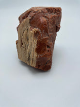 Load image into Gallery viewer, Petrified Wood
